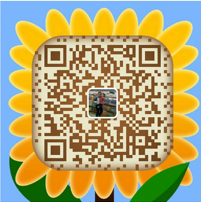 the qr code